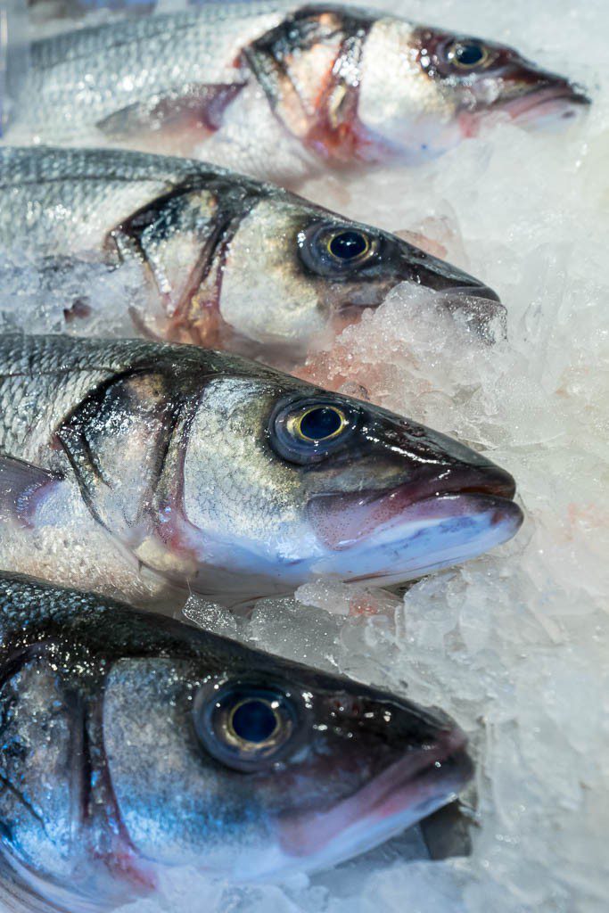 Fish heads in pike place