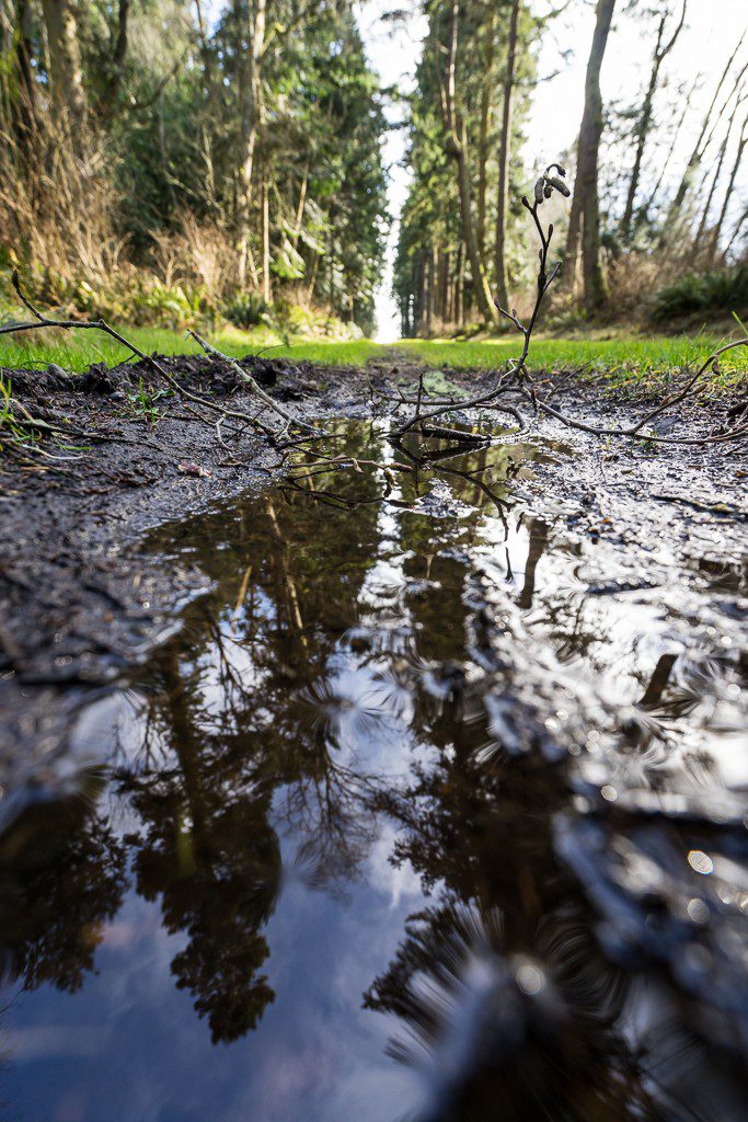 Wet path